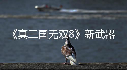 真转锤三国视频器昊演示无双新武
