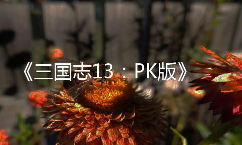 K版国志三巧委托玩法技