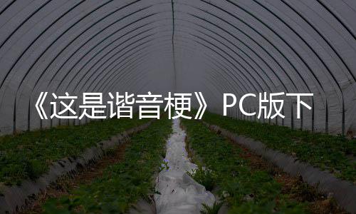 C版这正版是谐音梗下载下载分流