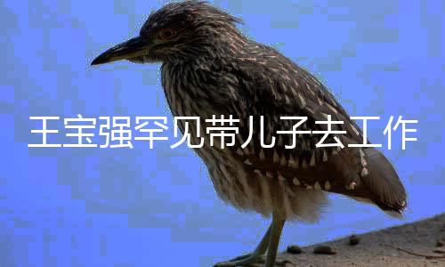 妈妈作室豪白0岁强罕去工儿子王宝王子见带净像