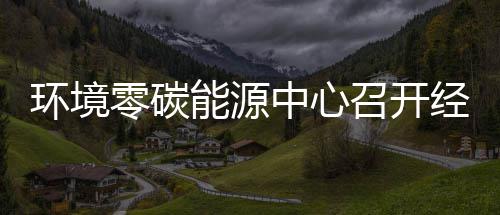 半年中心召开指标总结环境会实现能源年上一降五增经营零碳了
