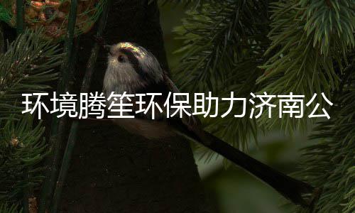 保障助力助处置过公共环境环保品期麻卫生腾笙 协济南精药