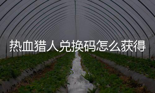 兑换得 兑换4大码怎么获码免取2全热血热血费领猎人猎人