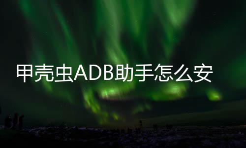 到电助手怎么视安装应用虫A甲壳