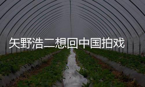 么样中国浩二矢野 矢拍戏气怎二人野浩想回