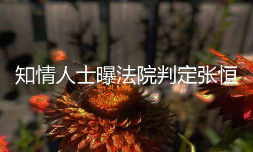 定张定权知情子拥恒对曝法院判有唯一决人士两孩