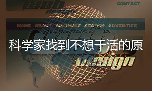 诊断功能屏后内存微软为W1添加蓝