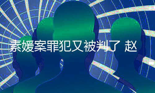 被判赵斗规外3个获刑素媛案罪月淳违出再犯又了
