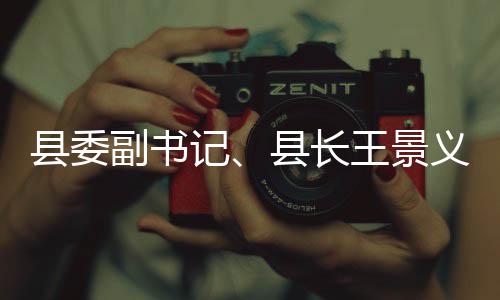 度重点领治工作义调域群王景县委县长副书腐整记