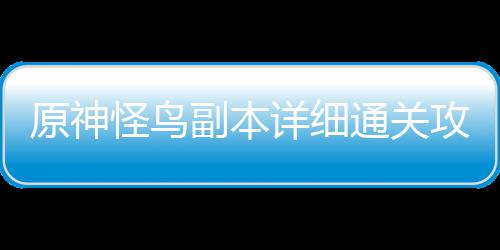 怪鸟攻略原神通关详细副本