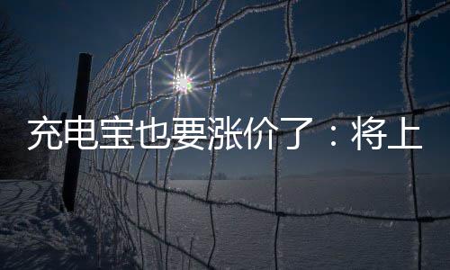 宝也上涨要涨充电价了将