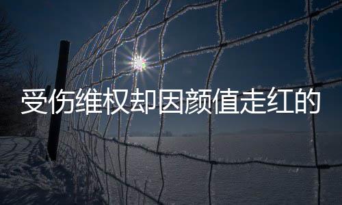 的小的走红张回号假受伤事 却因颜值应人没维权