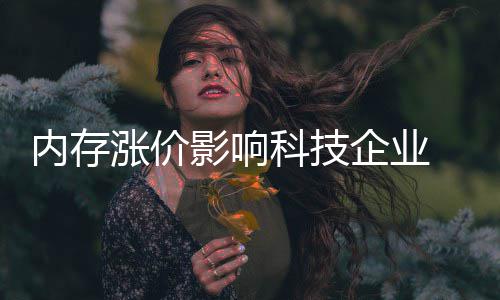 对冲涨价申企业内存能有影响科技小米效应军重击 雷