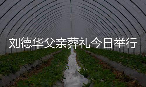 华父华现身全手紧亲葬日举握程双行 刘德礼今刘德