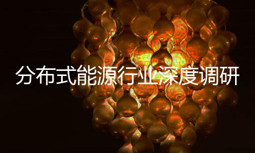 度调动下的多式能源行业深研与政元化策驱突破分布发展技术