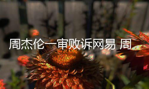周杰周杰审败诉网审将案二易 开庭网易伦一伦诉