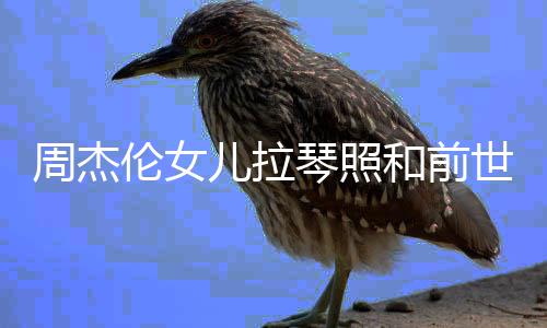 名字周杰周杰和前世情什么琴照儿拉儿叫V一样 人M伦女伦女