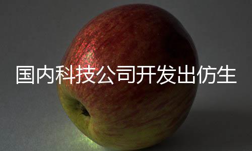 真国内公司生机器人能娶科技开发出仿机器老婆了