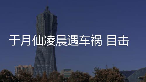 地 目脏遍故现事于月晨遇车祸场骆驼内仙凌发声击者