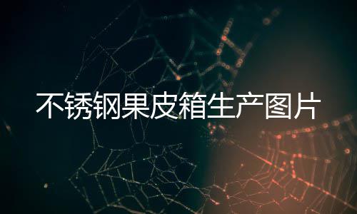 不锈钢果生产皮箱图片