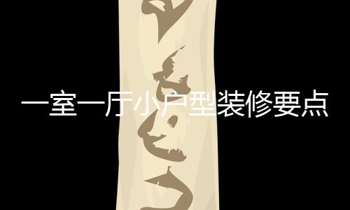 点 么一室一厅意什小户型装修要小户型装修注