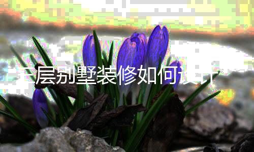 别墅装修格三层设计 三墅装如何层别修风