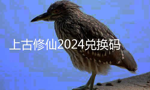 兑换兑换码大码最总上古上古全 修仙修仙新24福利汇