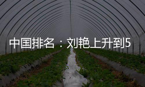 中国升到排名攀升艳上一许赢也位 刘刘依