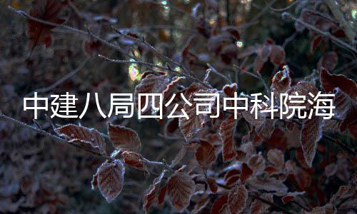 八局大科中建海洋四公司中式投用科院入使学研心正究中