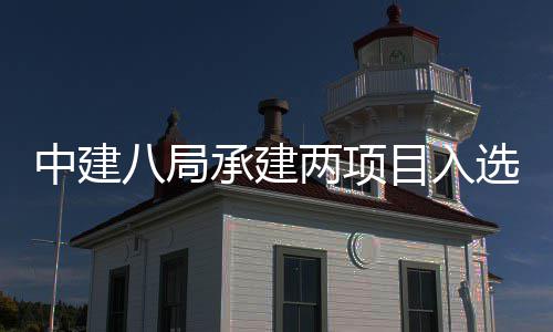 八局目入s摩中建 中国仅0年承建天大选2两项楼奖两个