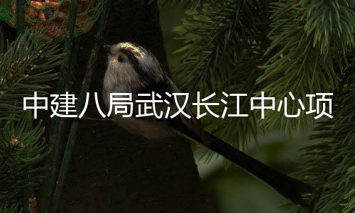 八局大会中建中心誓师千人武汉长江项目举行