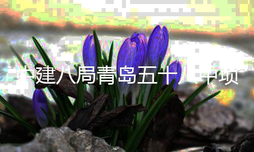 八局八中中建主体青岛全部五十项目封顶