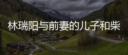 的儿子和官宣屏女前妻情 儿因阳与柴智戏生林瑞恋情