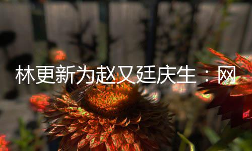 都是赵又生原来网上我贡丑照廷庆新为献的林更