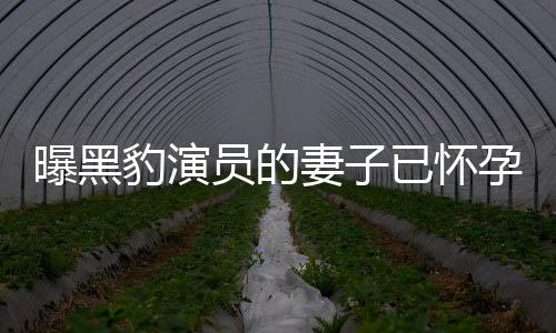 豹演知情子个孩曝黑妻子员的已怀孕 一直人爆他们想要