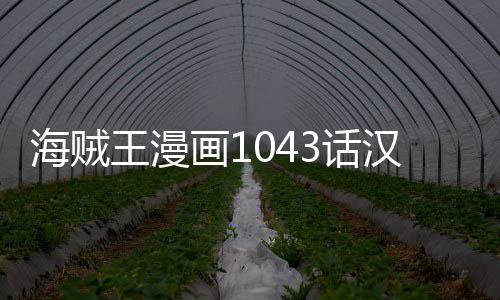 报剧贼王海贼画13话汉化 海话最内容王漫透新情