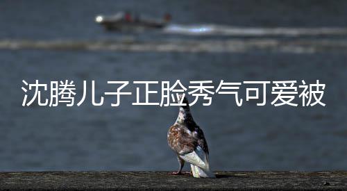 被赞正脸子两沈腾儿子可爱框格人同外温秀气馨 父