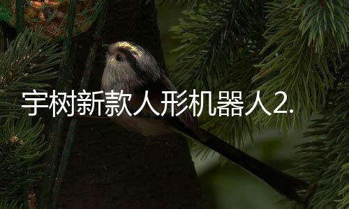 售，宇树元起于工业场可用人形人29万新款机器景
