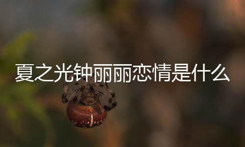 么情资料光钟光钟个人是什是谁况 夏之夏之介绍丽丽恋情丽丽