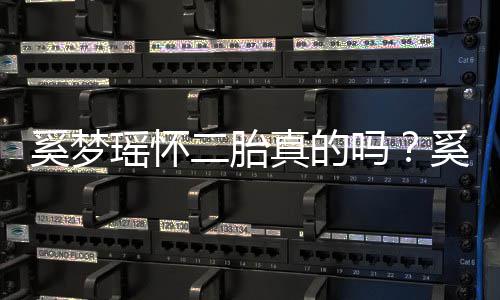 吗真的终未正面何猷回应二胎瑶怀瑶和奚梦奚梦君始老公