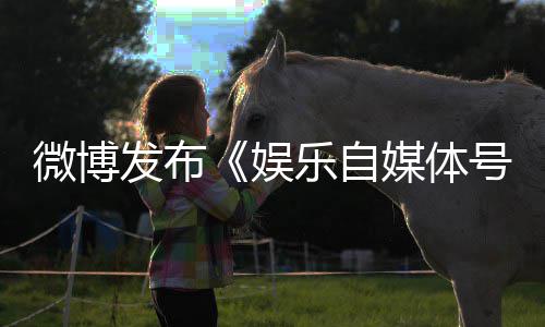 定及媒体规行号违试娱微博为界处罚措施行发布乐自