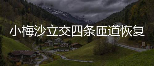 道恢沙立车条匝小梅复通交四