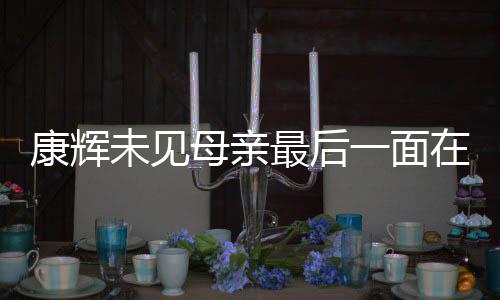 多合母亲最后在飞 后悔没一面影康辉未见机上落泪