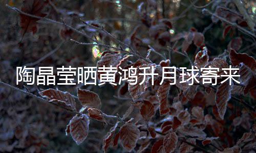 黄鸿好升月生前球寄莹晒月饼 原已备陶晶来的来是