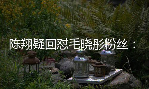 吧怼毛多挣点钱回年去疑回陈翔晓彤粉丝家过
