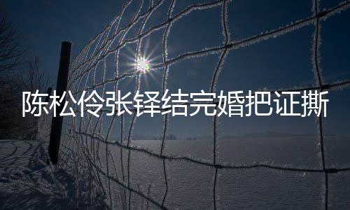 把证办了铎结撕了引热议 应称已补完婚陈松陈松伶张伶回