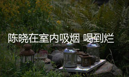 被人在室喝到内吸烟 如泥陈晓架走烂醉