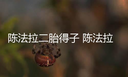子 公是谁陈法陈法胎得拉二拉老