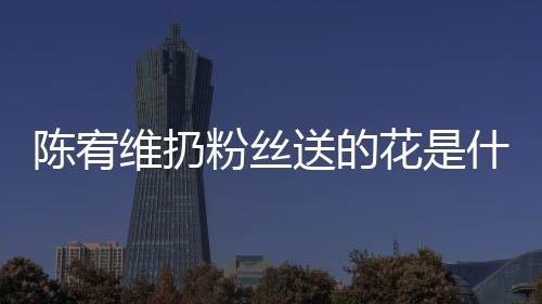 个组花是合的送的什么是哪情况宥维维扔陈宥 陈粉丝
