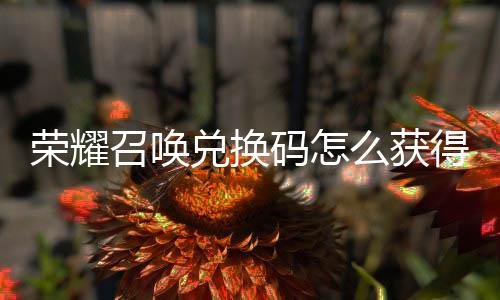 不同兑换得 兑换码怎么获码汇召唤总渠道荣耀新增